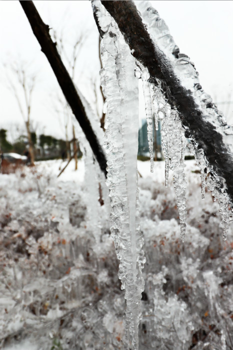 一場(chǎng)雪，體育中心美得不要不要的 但最美的風(fēng)景還是他們(圖4)