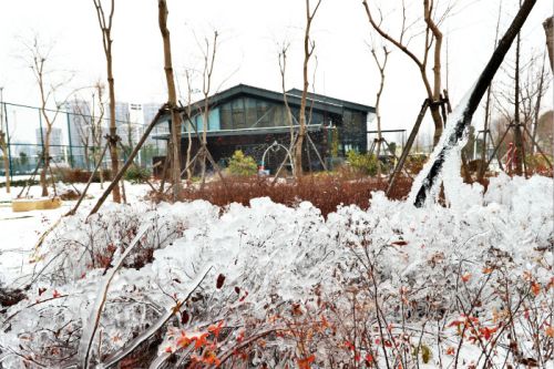 一場雪，體育中心美得不要不要的</br>但最美的風景還是他們(圖2)