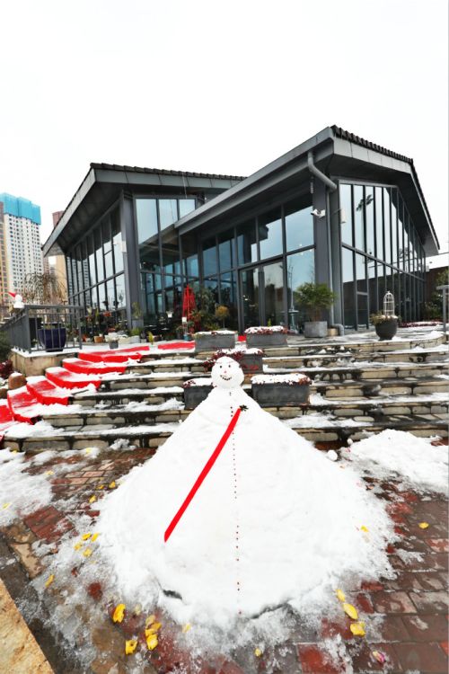一場雪，體育中心美得不要不要的</br>但最美的風景還是他們(圖11)